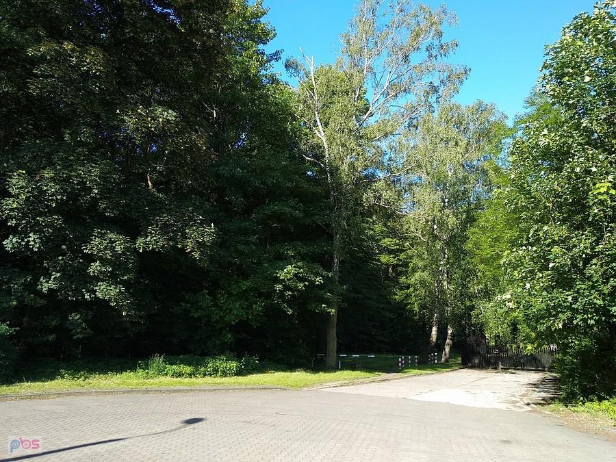 okolice lasku Makoszowskiego