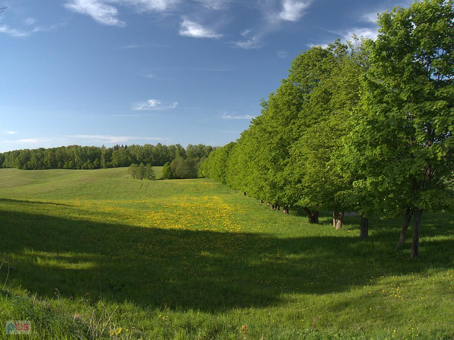 Wspomnienia z Podlasia ;)