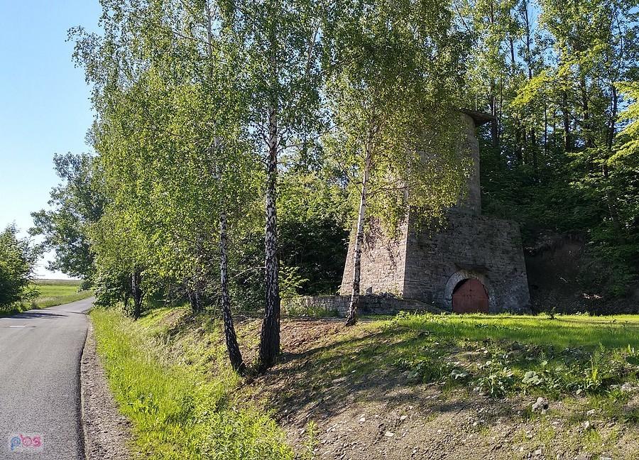 Wapiennik w okolicach Twardorzeczki