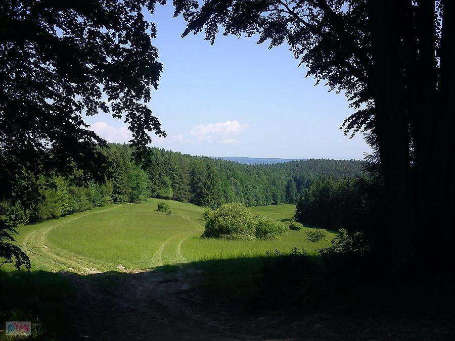 Ładna polanka