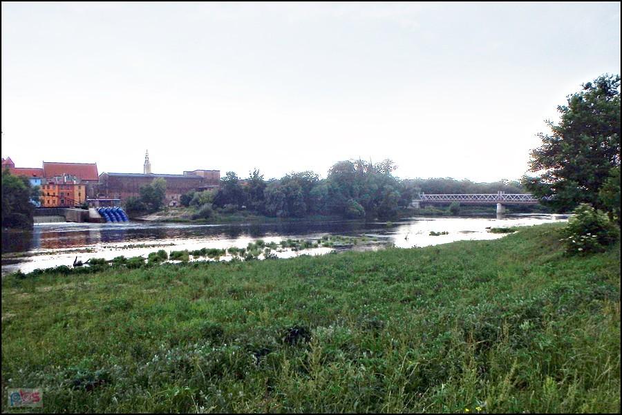 Widok na most w Brzegu z nadodrzańskiego bulwaru