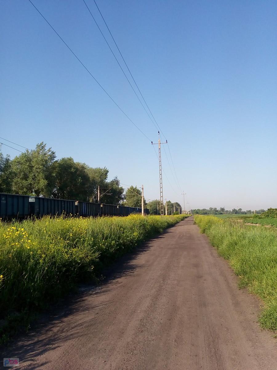 Szutrówka wzdłuż toru nie przeszkodziła Julce