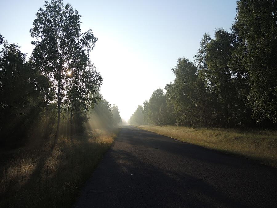 Droga Miały - Mężyk