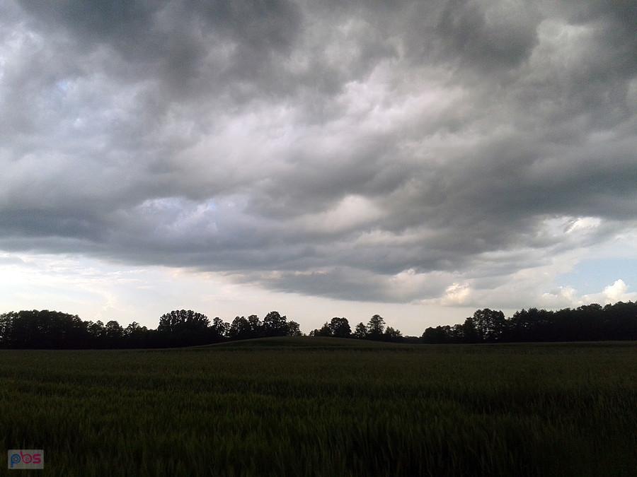Grodzisko w Spicimierzu