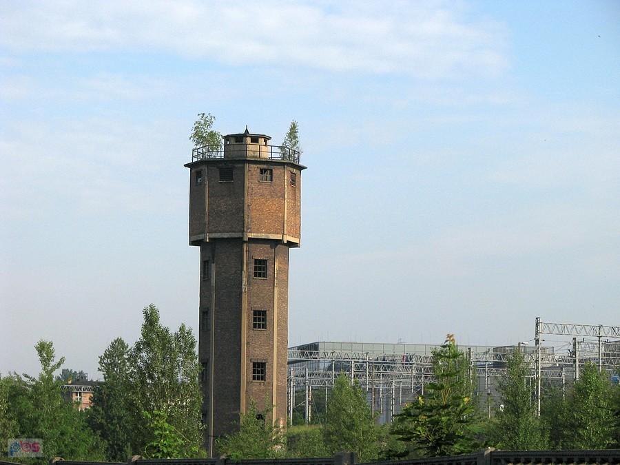 Czekając na Olka