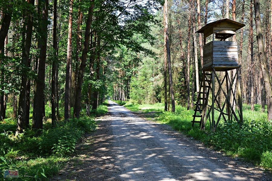 Bory Niemodlińskie