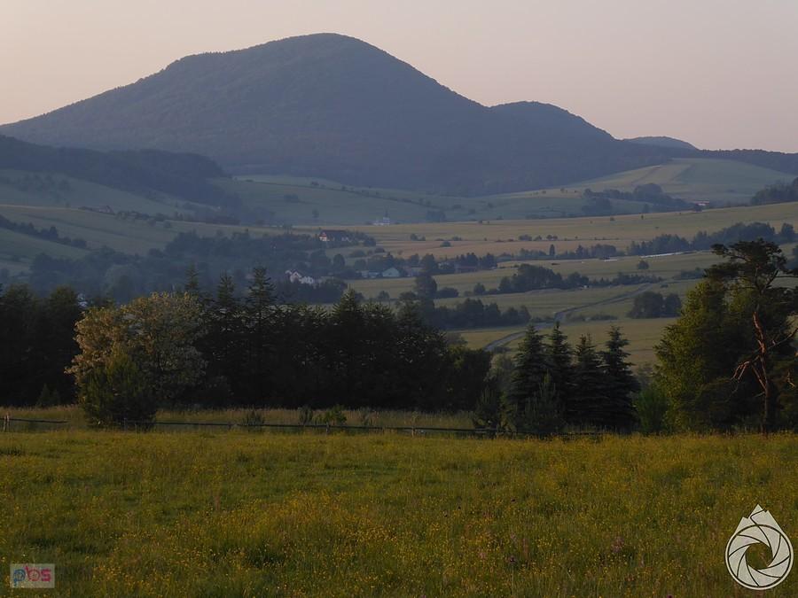 Królowa poranna
