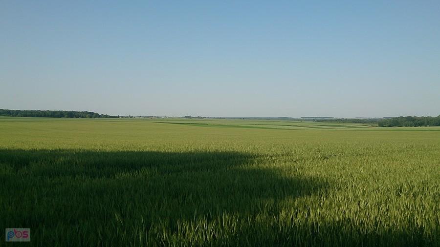 Bezkresne pola