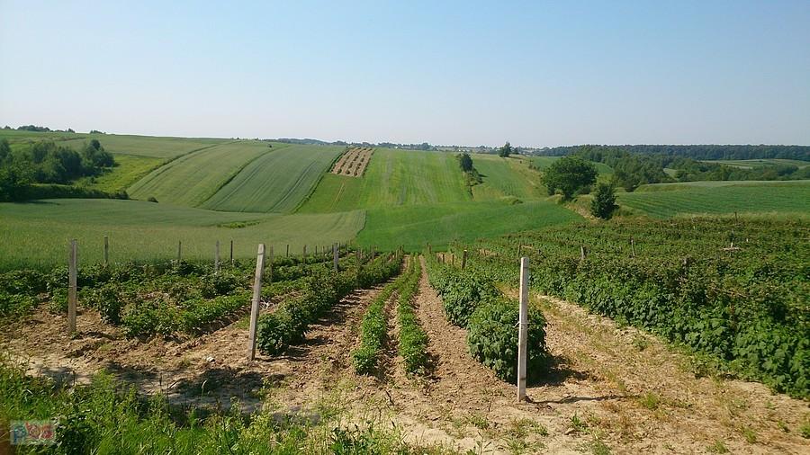 Pofałdowany teren
