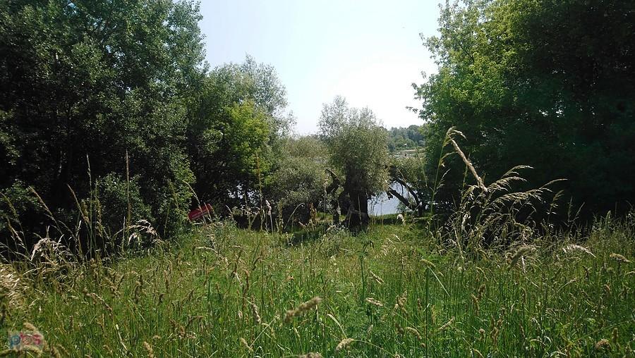 Wytęż wzrok i znajdź prom