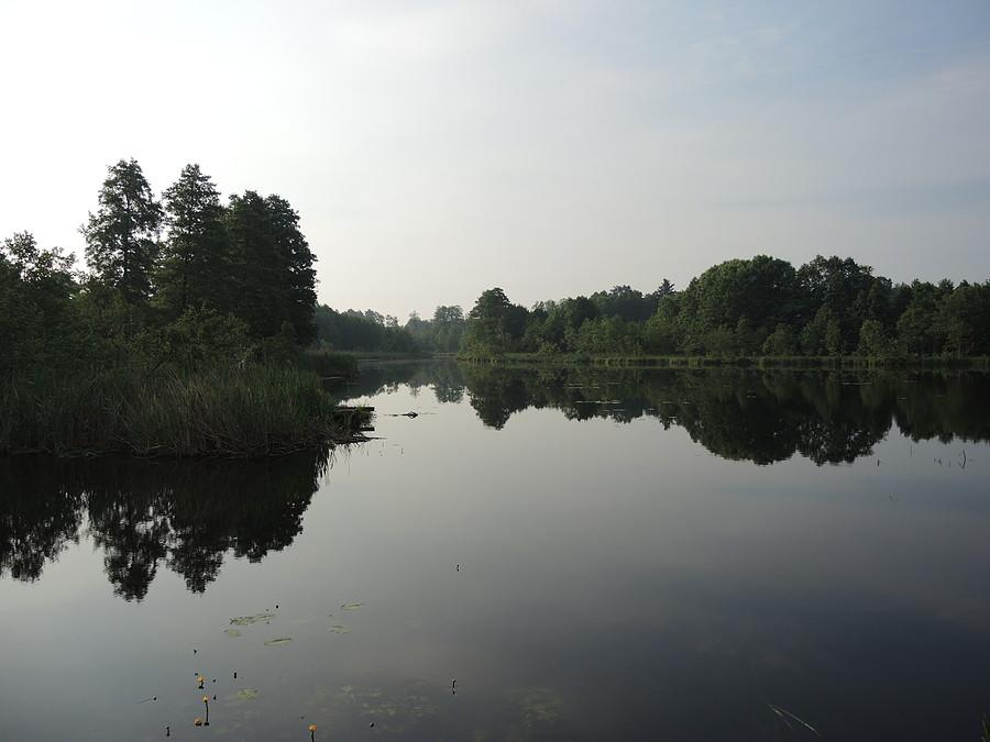 Miała w Kamienniku