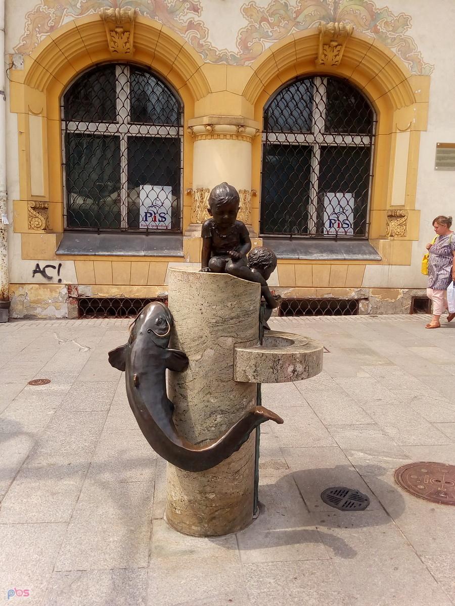 Źródełko wody