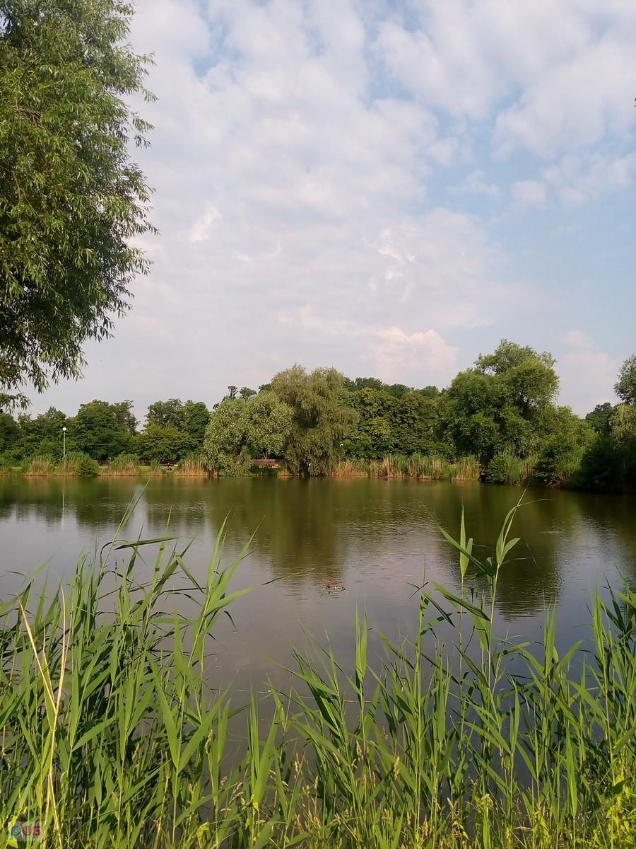 Staw w Zielonkach. Dawno tędy nie jechałam
