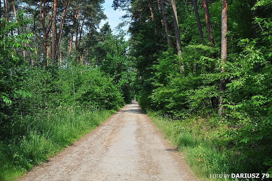Łętowice - Wielka Droga Królewska - Czerwony szlak rowerowy