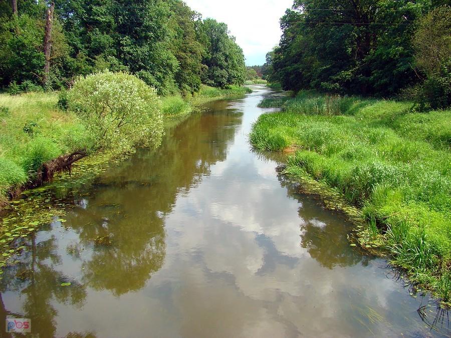 Barycz w okolicy wsi Wierzowice Wielkie