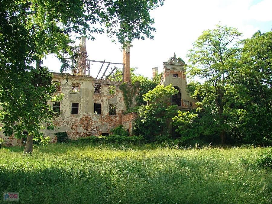Ruina pałacu w Daszowie