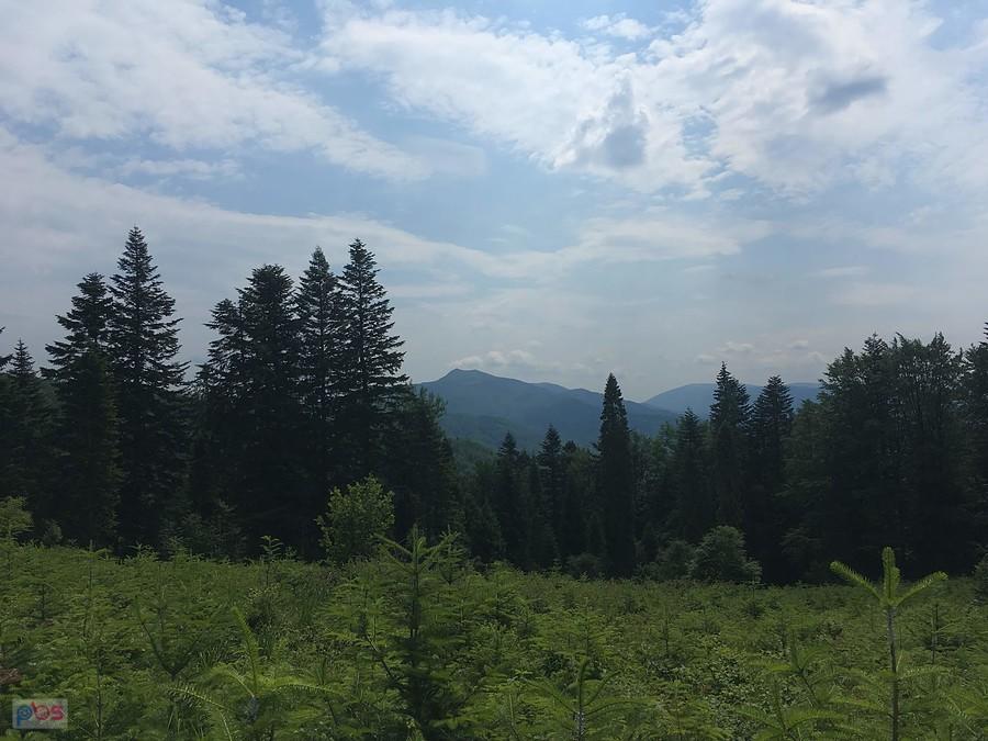 Smerek (1222 m.n.p.m)