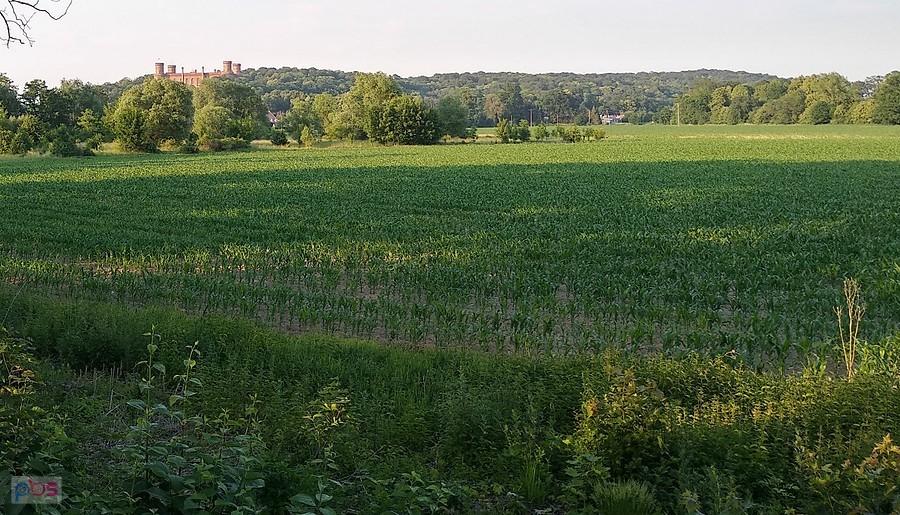 Widoki na Kamieniec Ząbkowicki