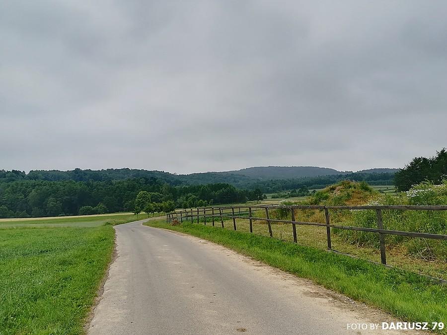 Dębno - Droga prowadząca do Łysej Góry (Kamionka)