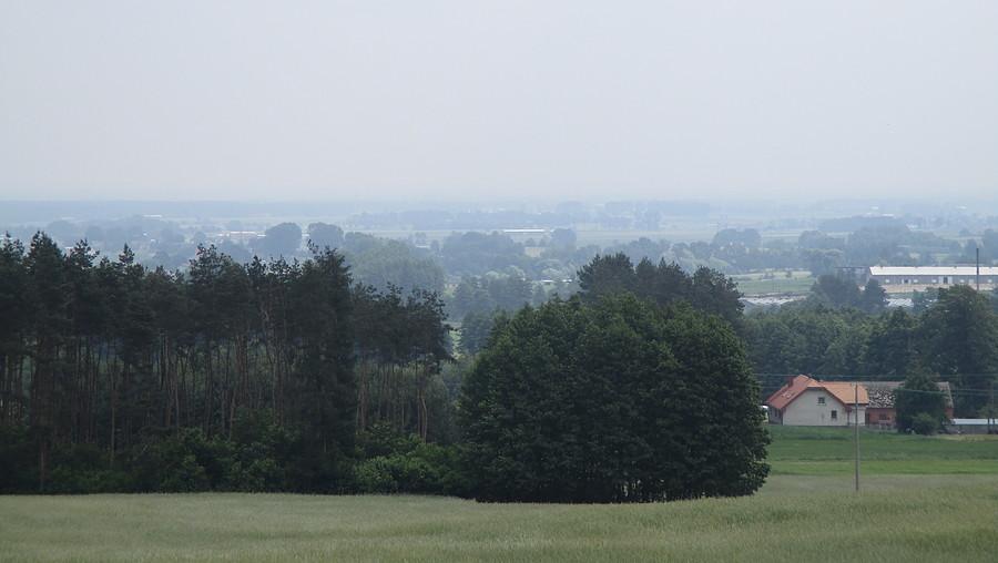 Widoczek ze wsi Kotłów (220 m.n.p.m)
