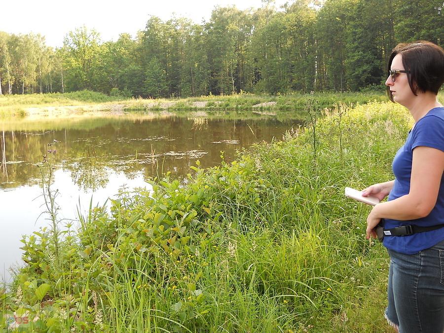 obserwujemy