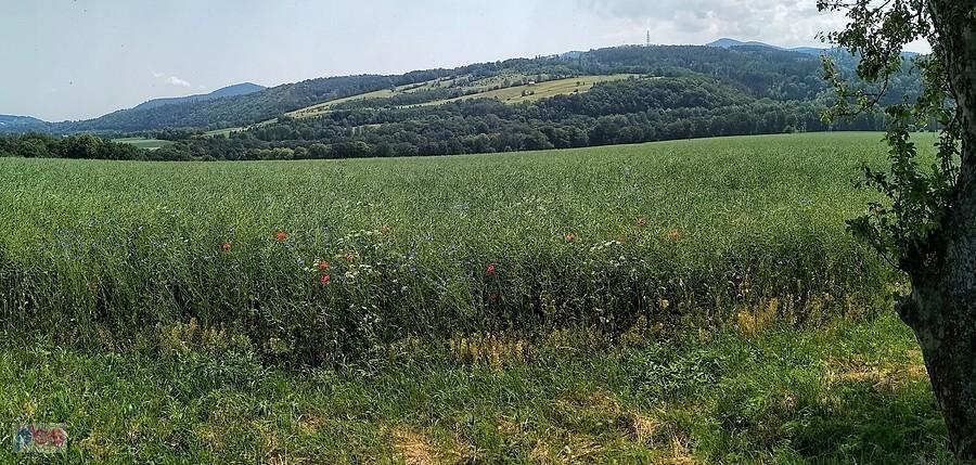 Piękna okolica