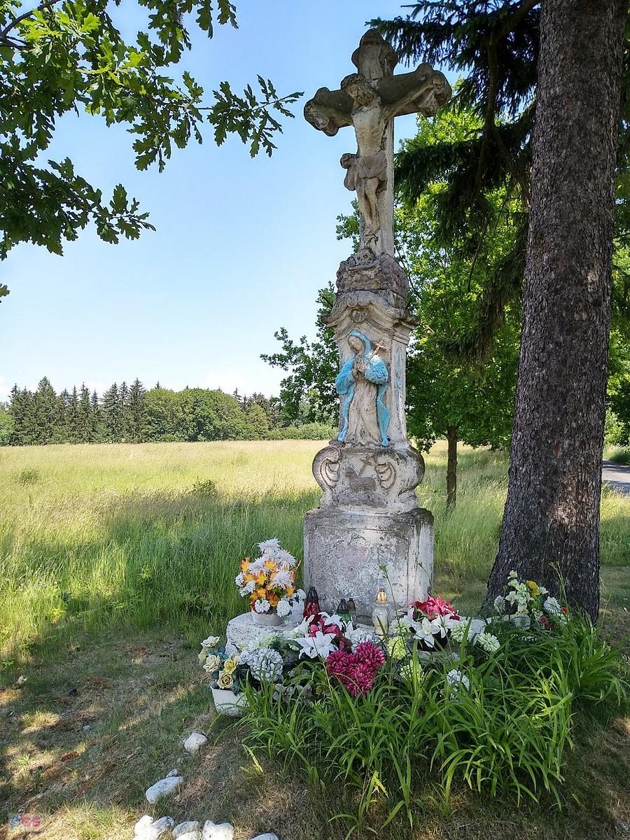 Ilość znalezionych dziś czaszek zaskakuje
