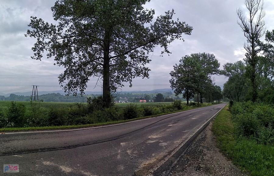 W drodze do Pławnicy