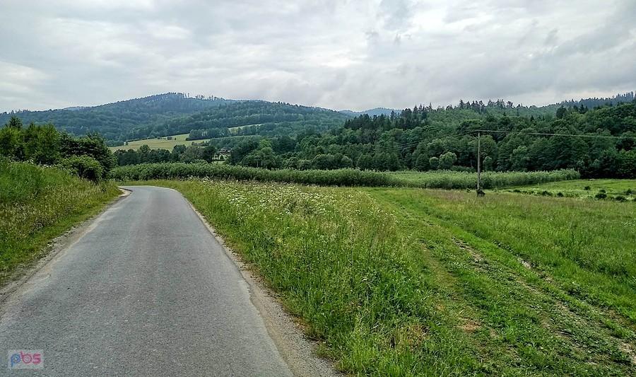 Okolice Gruszczyna