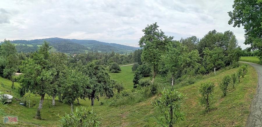 Okolice Trzebieszowic