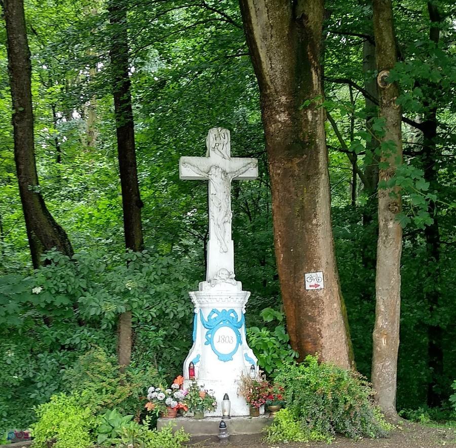 Kolejna znaleziona dzisiaj czaszka