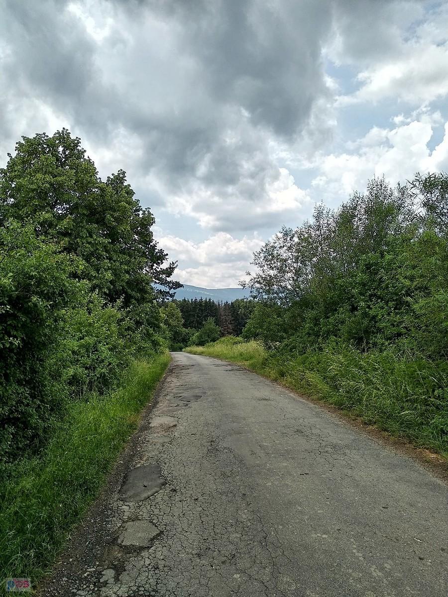 W drodze do Starkowa