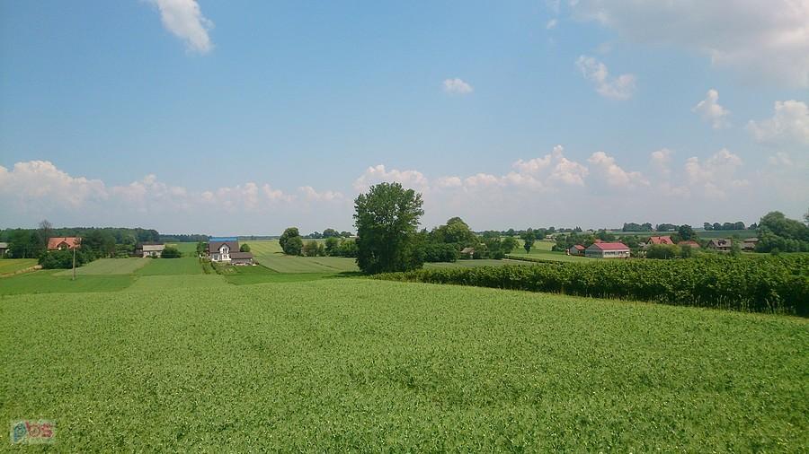 Zielone pola koło Warszawiaków