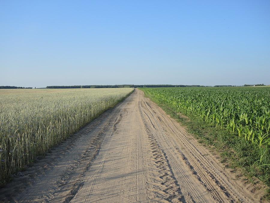 Droga Białężyn - Kociołki