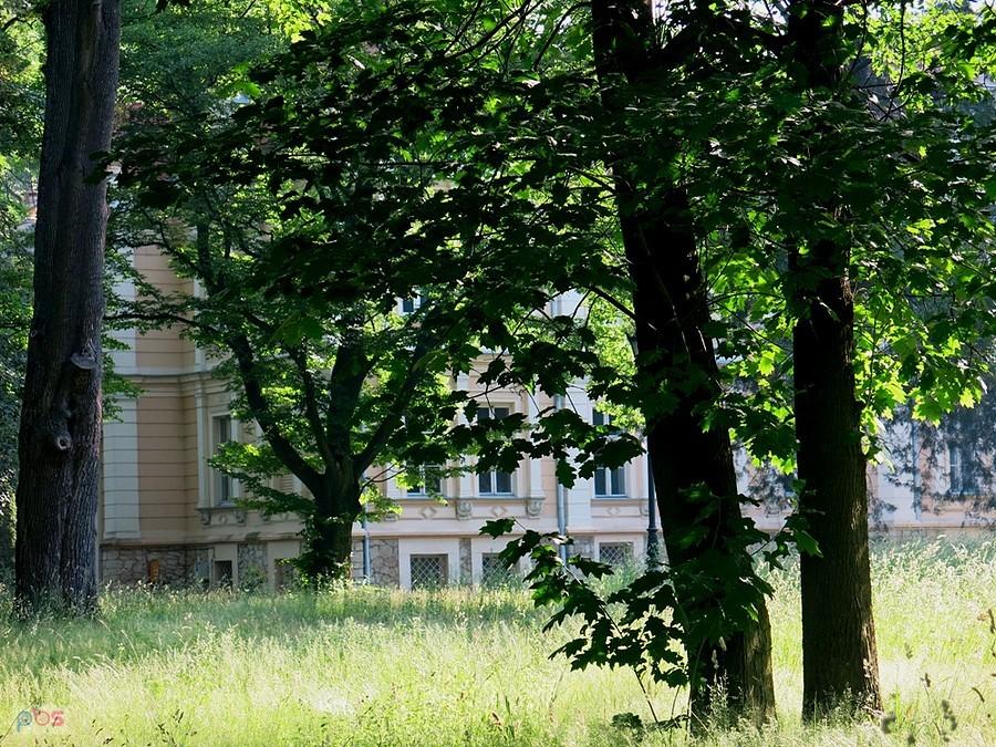 Dwór na naszej drodze