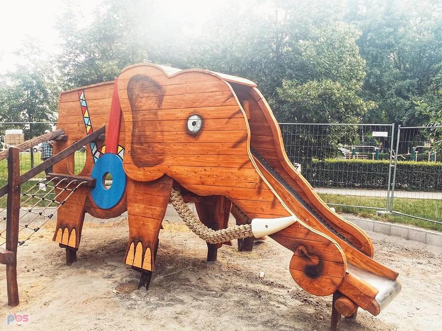 słoń wraca na Bielany