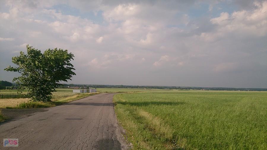 Bezkresne pola w Tomaszówce