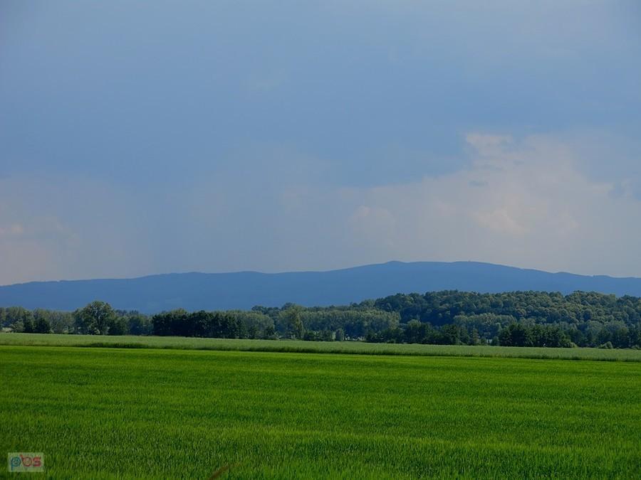 Te góry widzimy codziennie z naszego tutejszego podwórka w Dziupli u Kazka