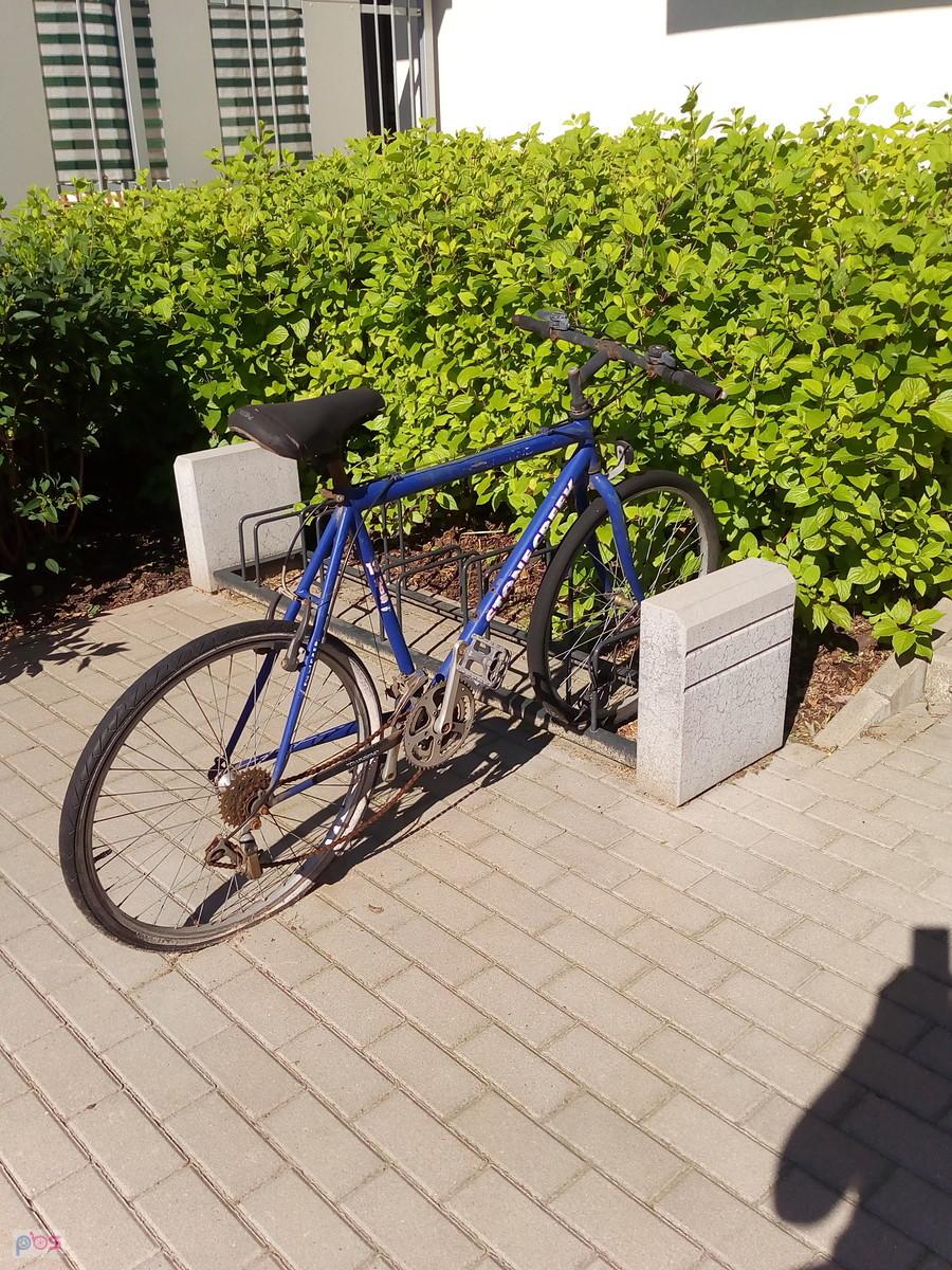 Ten zapomniany rower stoi tu od zimy. Początkowo jeszcze nieźle wyglądał, a teraz..Ktoś o nim zapomnia, a stoi przy bloku obok wejscia do klatkił