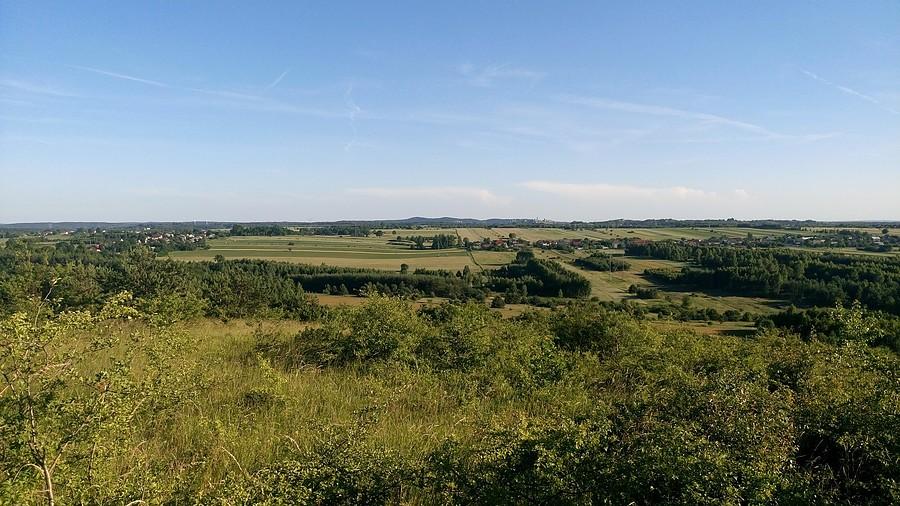 Widok ze Skarzawy w stronę Olsztyna