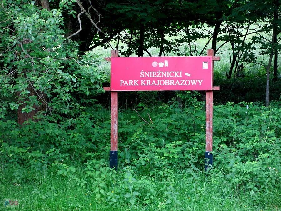W Parku Krajobrazowym