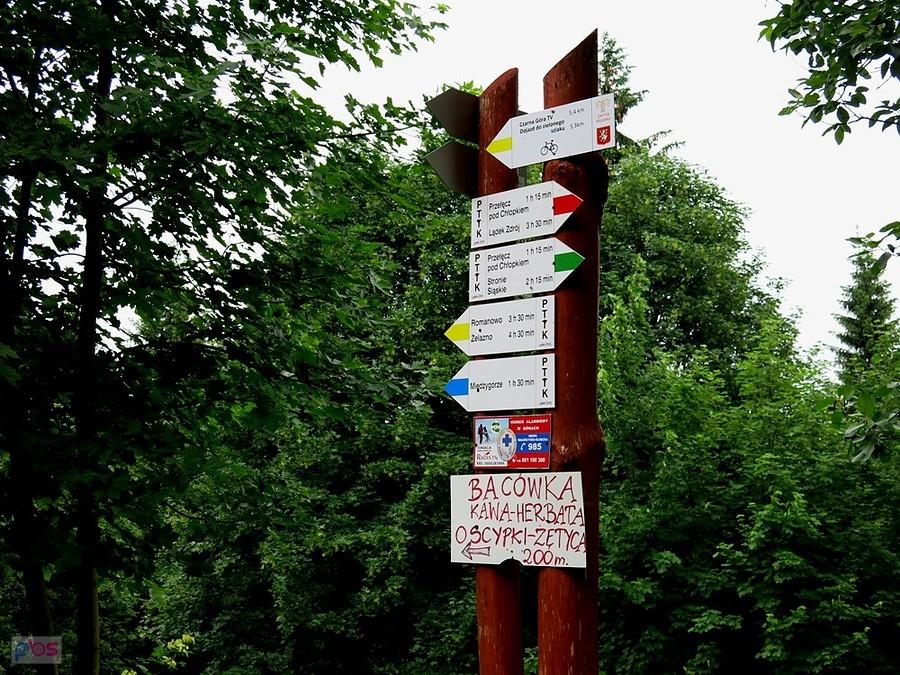 Na Przełęczy Puchaczówka k. Siennej