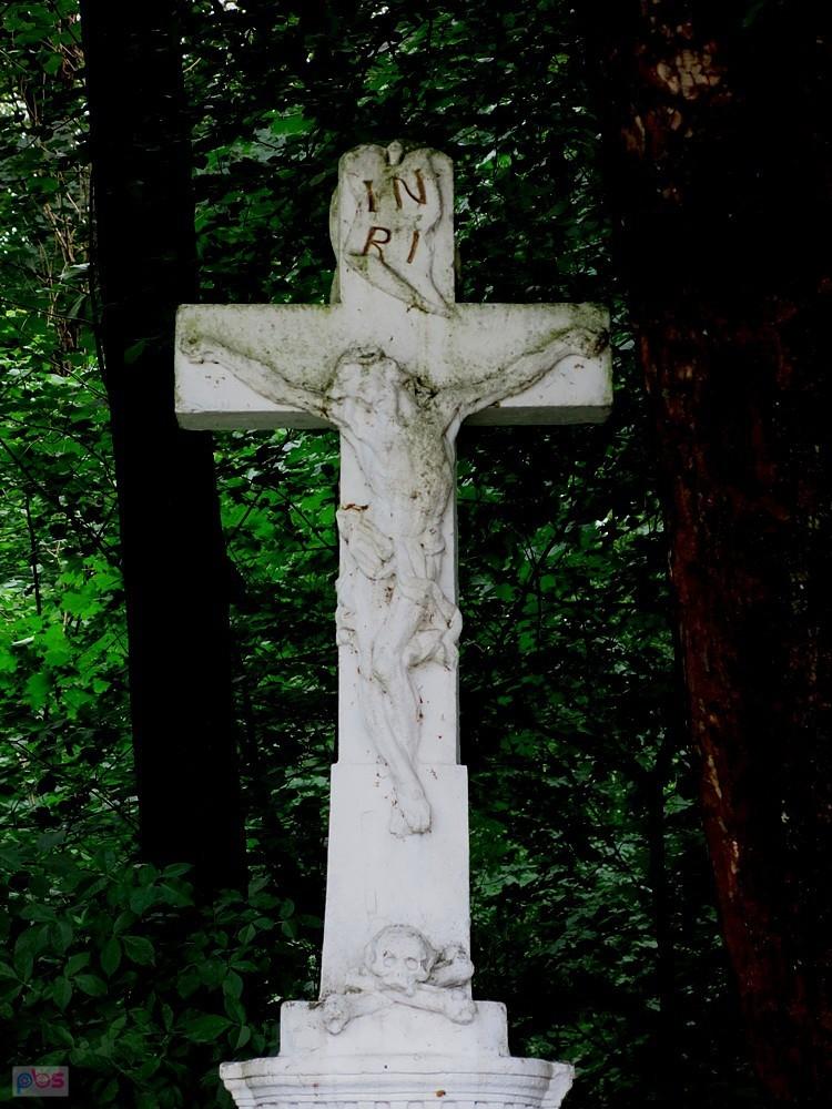 Czaszka w Trzebieszowicach