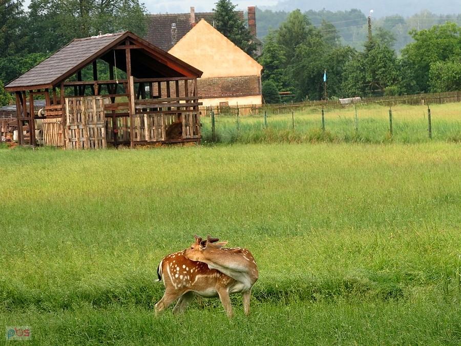 W zamknięciu