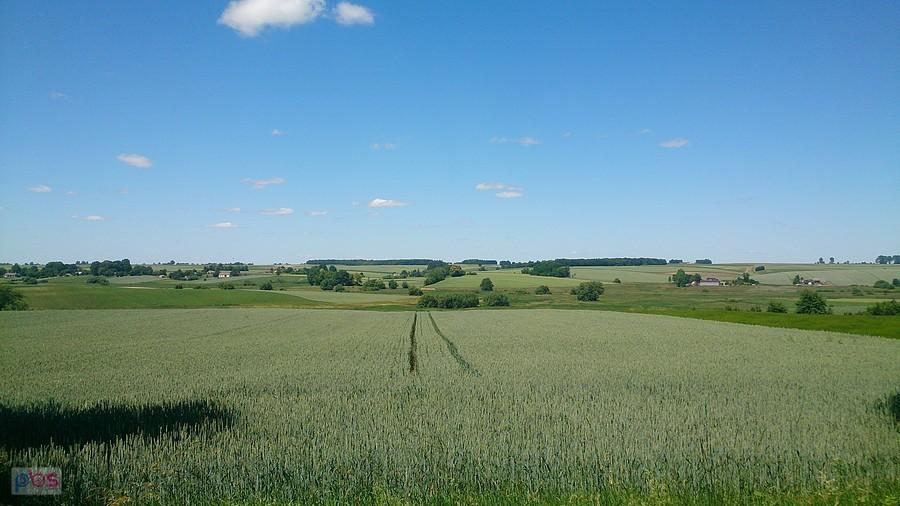 Zielone pagórkowate pola