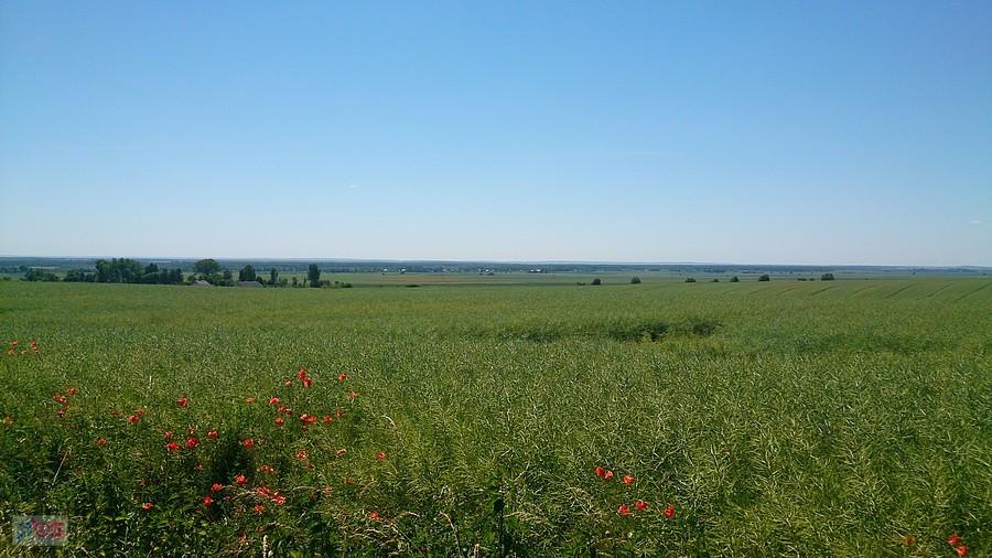 Tam gdzieś Ukraina
