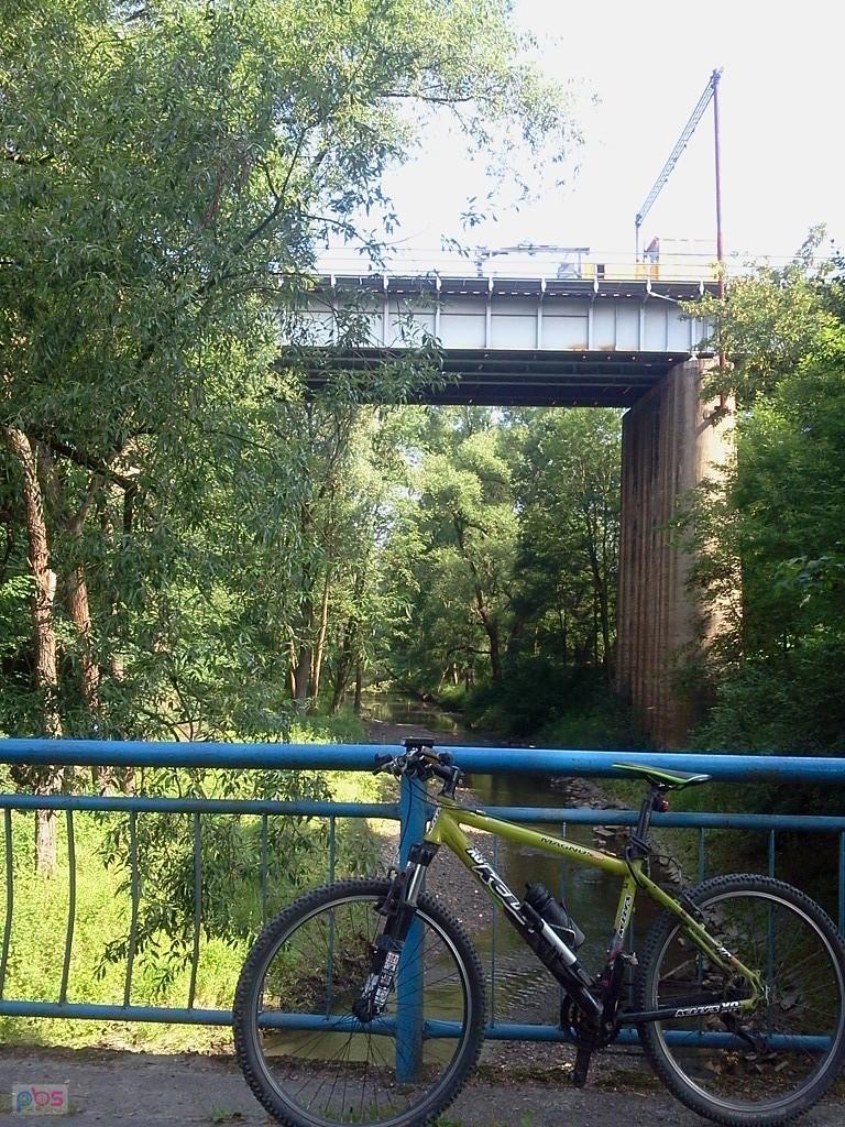 Olbrachcice