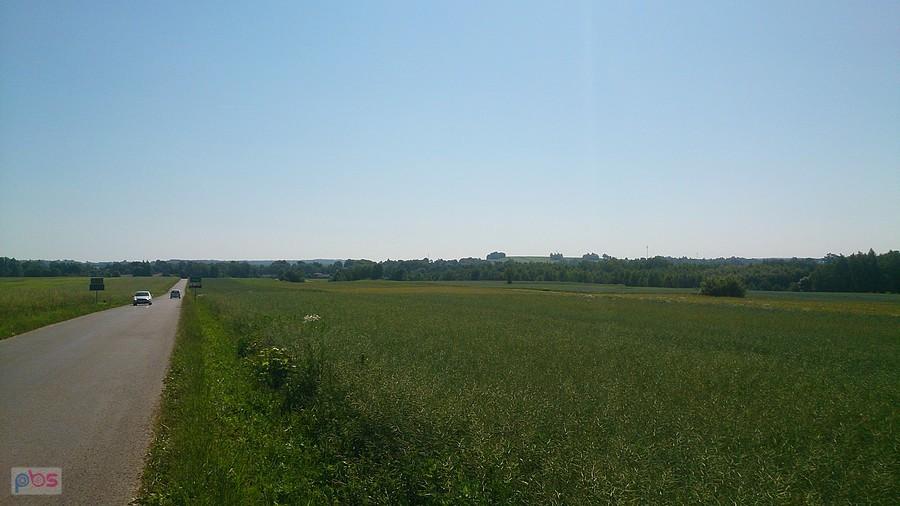 Droga na Sulów