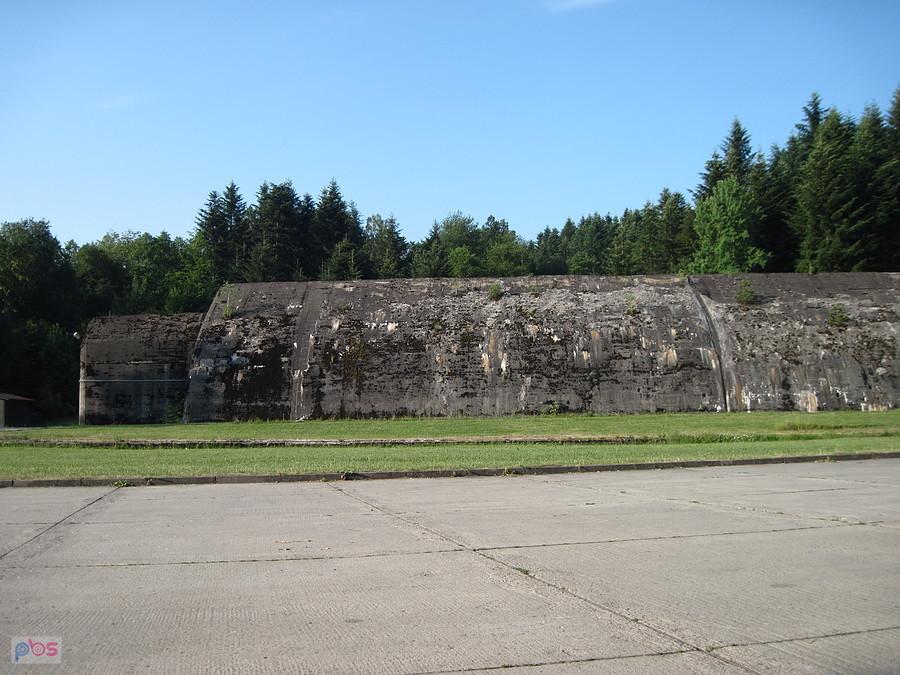 Stępina o poranku