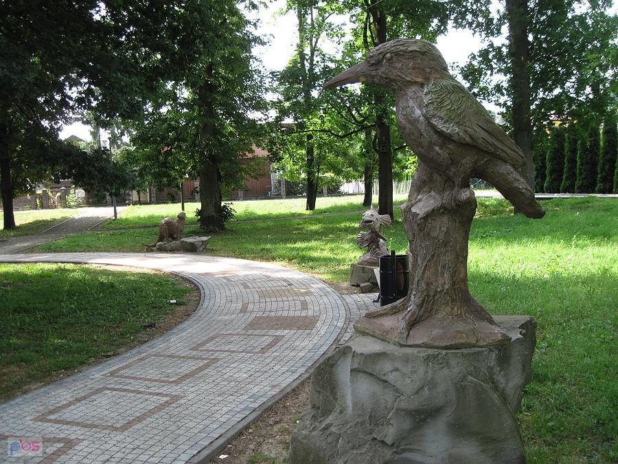 Zwierzaki parkowe w Ciążkowicach